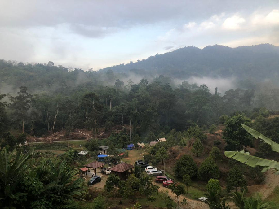 Dusun DZ Campsite, Kuala Klawang — Camping in an Orchard Has Never Been This Good - TAHAN Outdoor