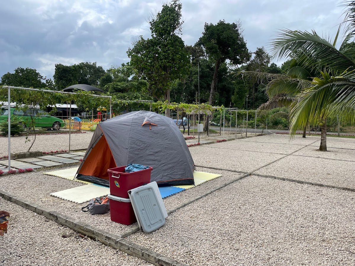 Endau-Rompin National Park: The Complete Guide (2026) - TAHAN Outdoor