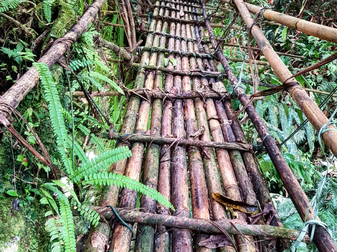 Gunung Batu Putih (Tapah): A Hiker's Guide (2026) - TAHAN Outdoor