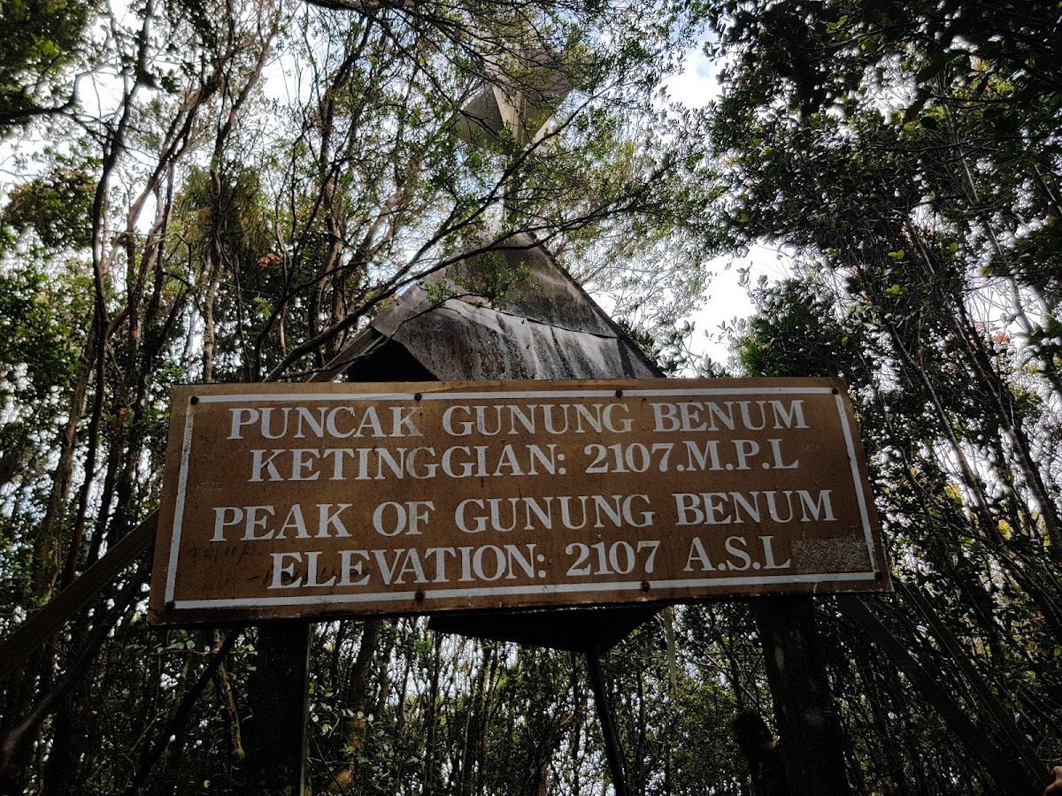 Gunung Benom: A Hiker's Guide (2026) - TAHAN Outdoor
