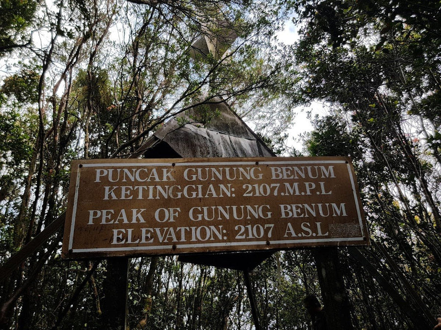 Gunung Benom: A Hiker's Guide (2026) - TAHAN Outdoor