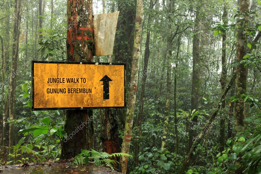 Gunung Berembun Main Photo - TAHAN Outdoor