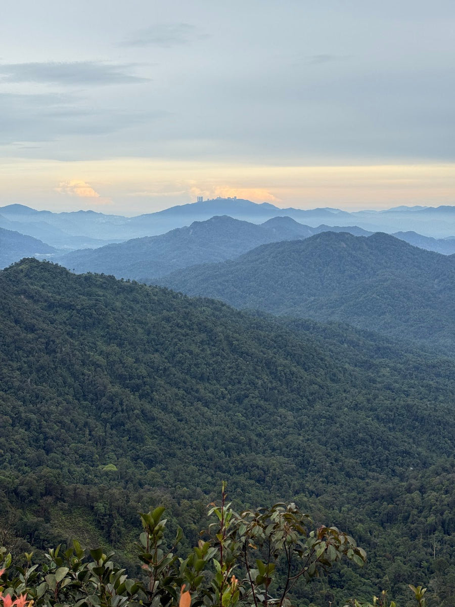Gunung Besar Hantu: A Hiker's Guide (2026) - TAHAN Outdoor