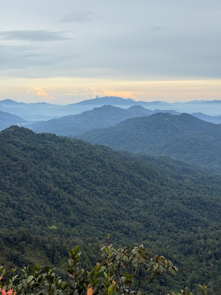 Gunung Besar Hantu — The Highest Peak in Negeri Sembilan That'll Test Your Legs - TAHAN Outdoor