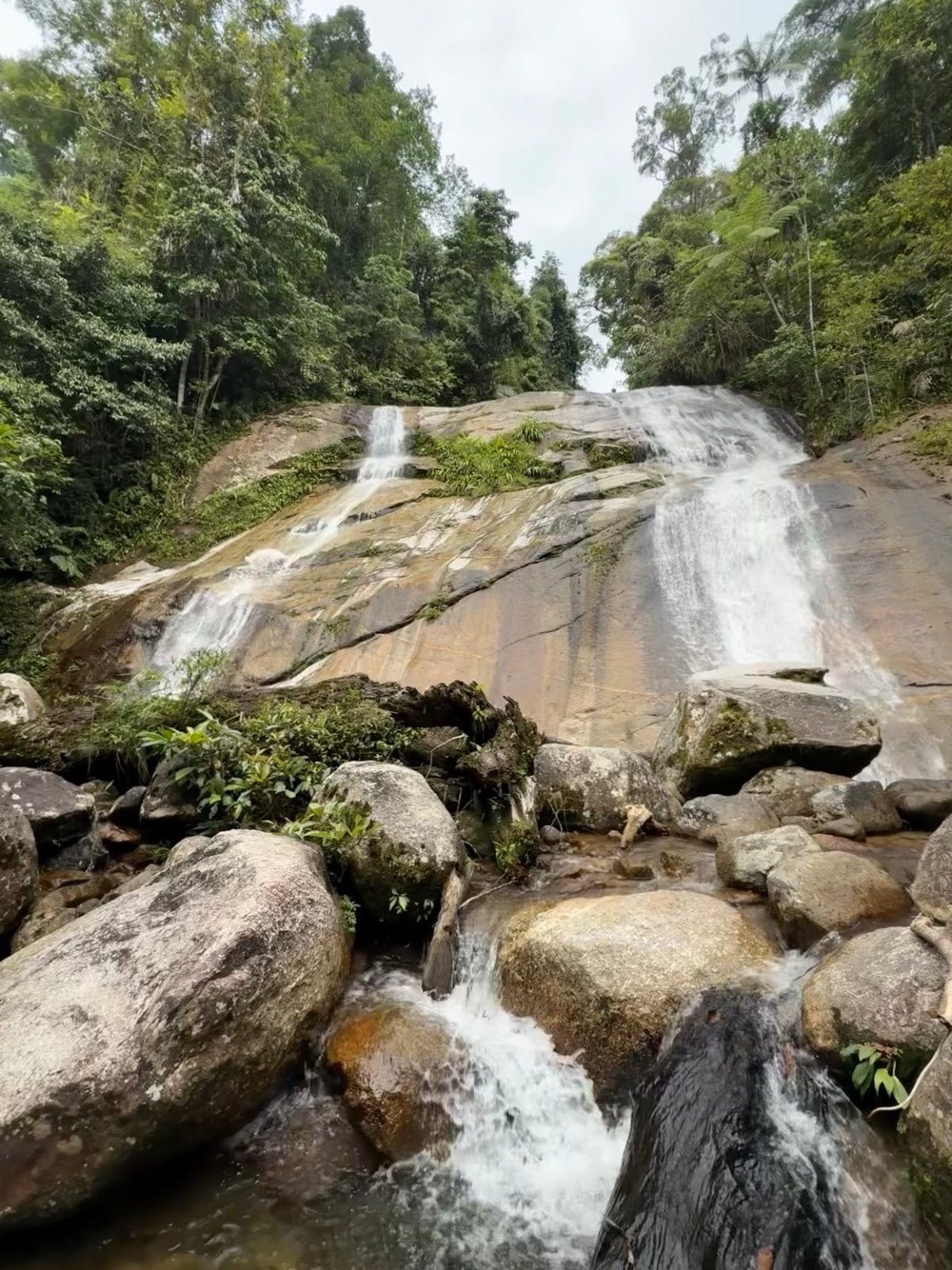 Gunung Bintang: A Hiker's Guide (2026) - TAHAN Outdoor