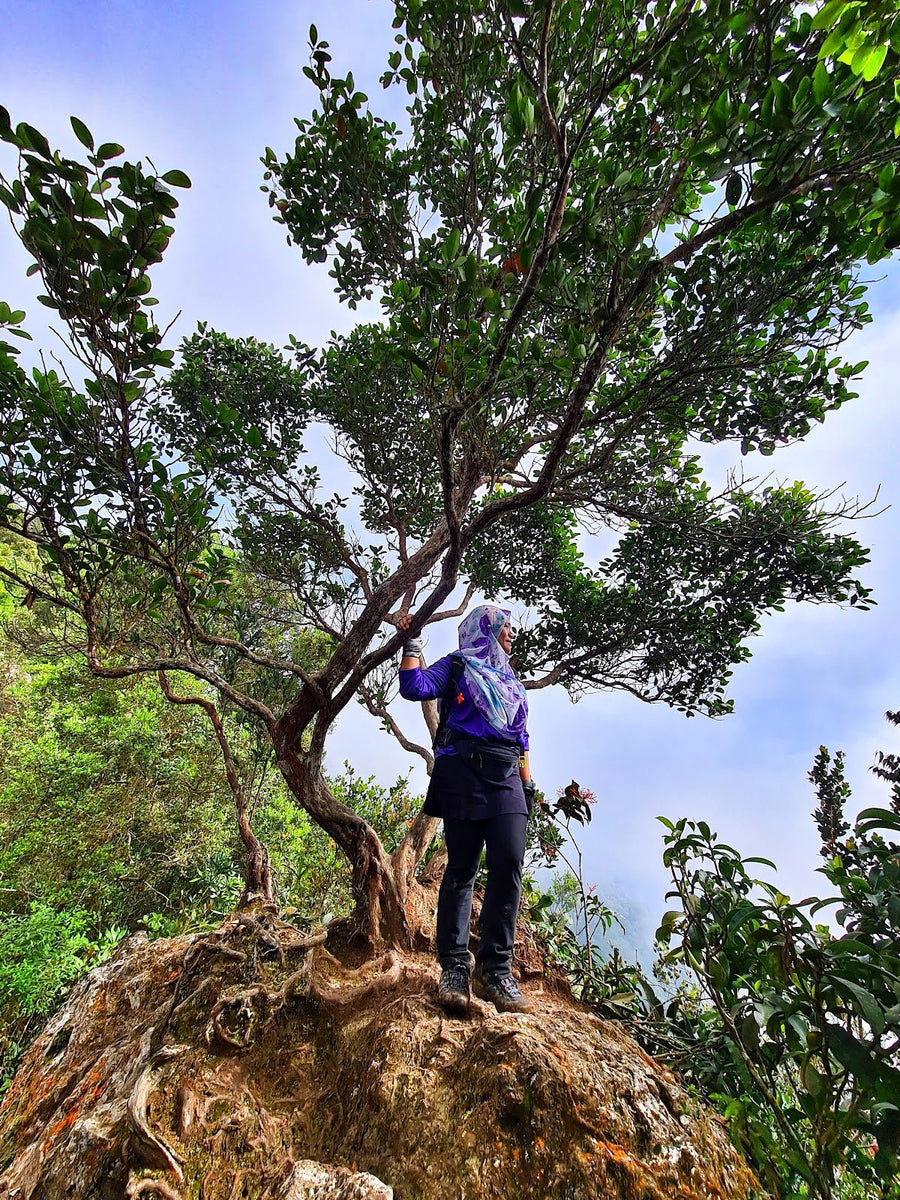 Gunung Bunga Buah: A Hiker's Guide (2026) - TAHAN Outdoor