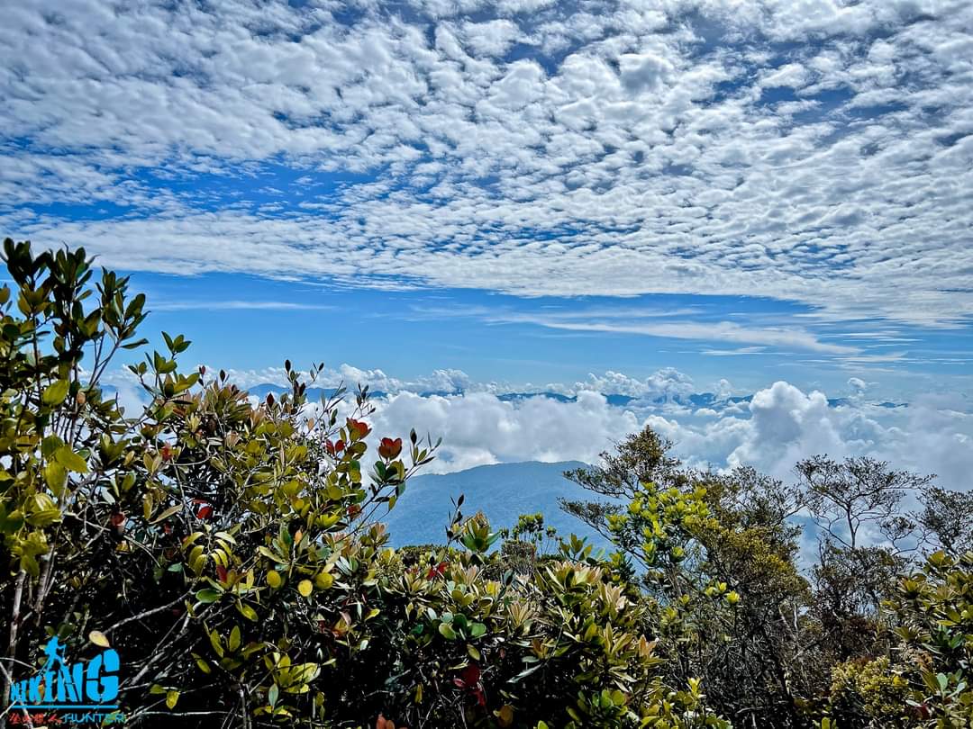 Gunung Chamah: A Hiker's Guide (2026) - TAHAN Outdoor