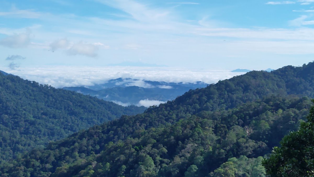 Gunung Gap, Fraser Hill: A Hiker's Guide (2026) - TAHAN Outdoor