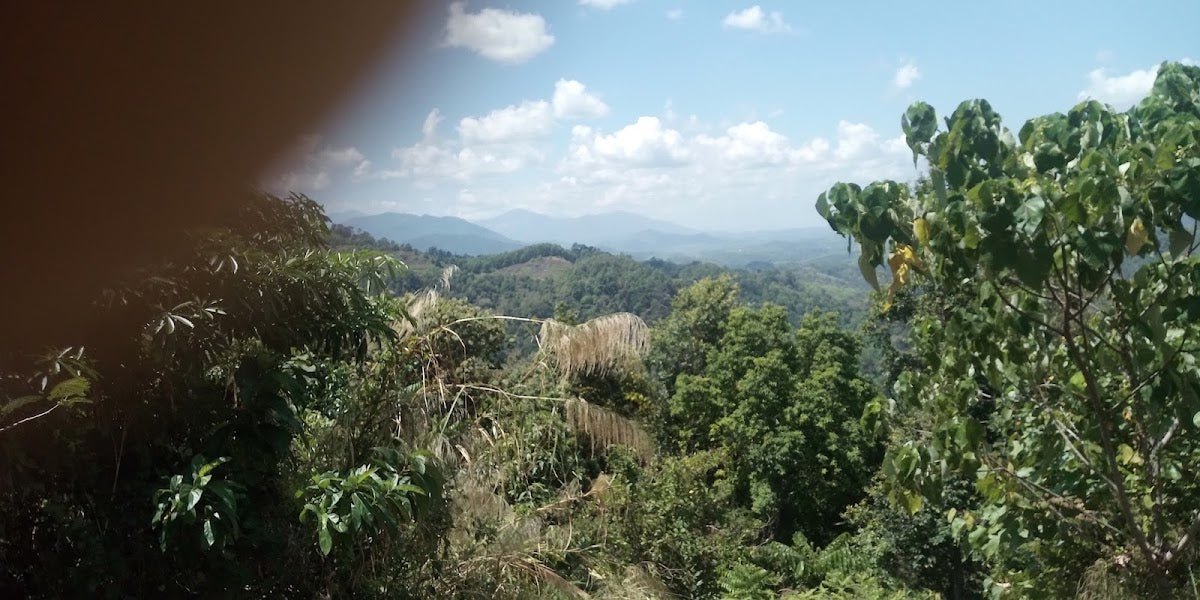 Gunung Inas (Kedah): A Hiker's Guide (2026) - TAHAN Outdoor