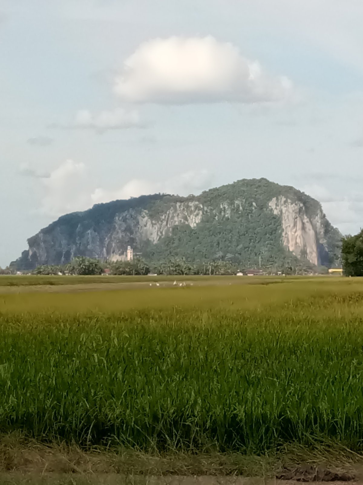 Gunung Keriang: A Hiker's Guide (2026) - TAHAN Outdoor