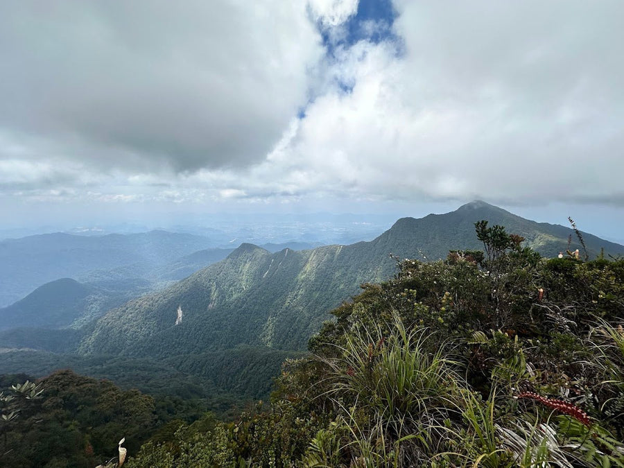 Gunung Korbu: A Hiker's Guide (2026) - TAHAN Outdoor