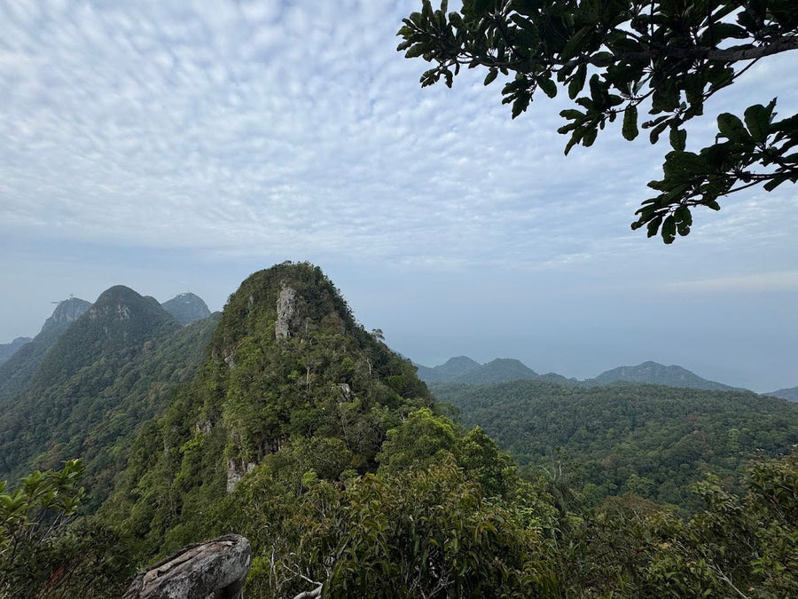 Gunung Machinchang, Langkawi: A Hiker's Guide (2026) - TAHAN Outdoor