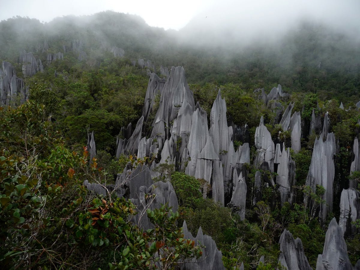Gunung Mulu: A Hiker's Guide (2026) - TAHAN Outdoor