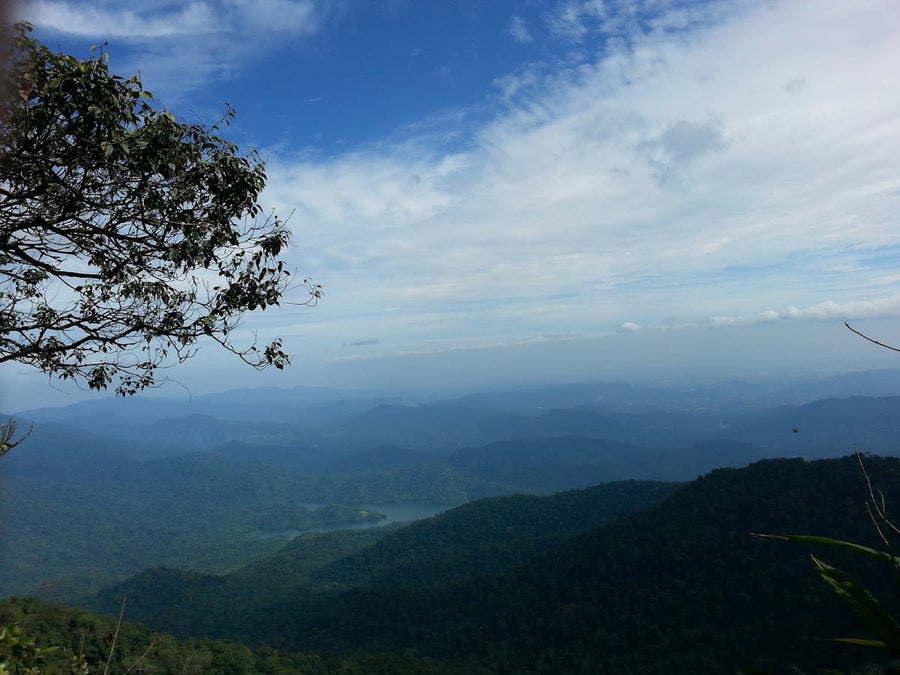 Gunung Nuang: A Hiker's Guide (2026) - TAHAN Outdoor
