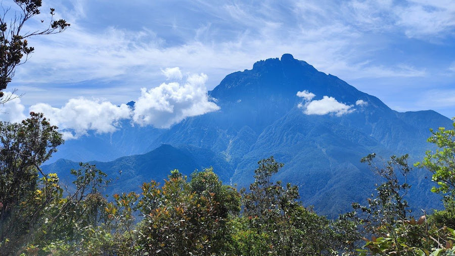 Gunung Nungkok: A Hiker's Guide (2026) - TAHAN Outdoor