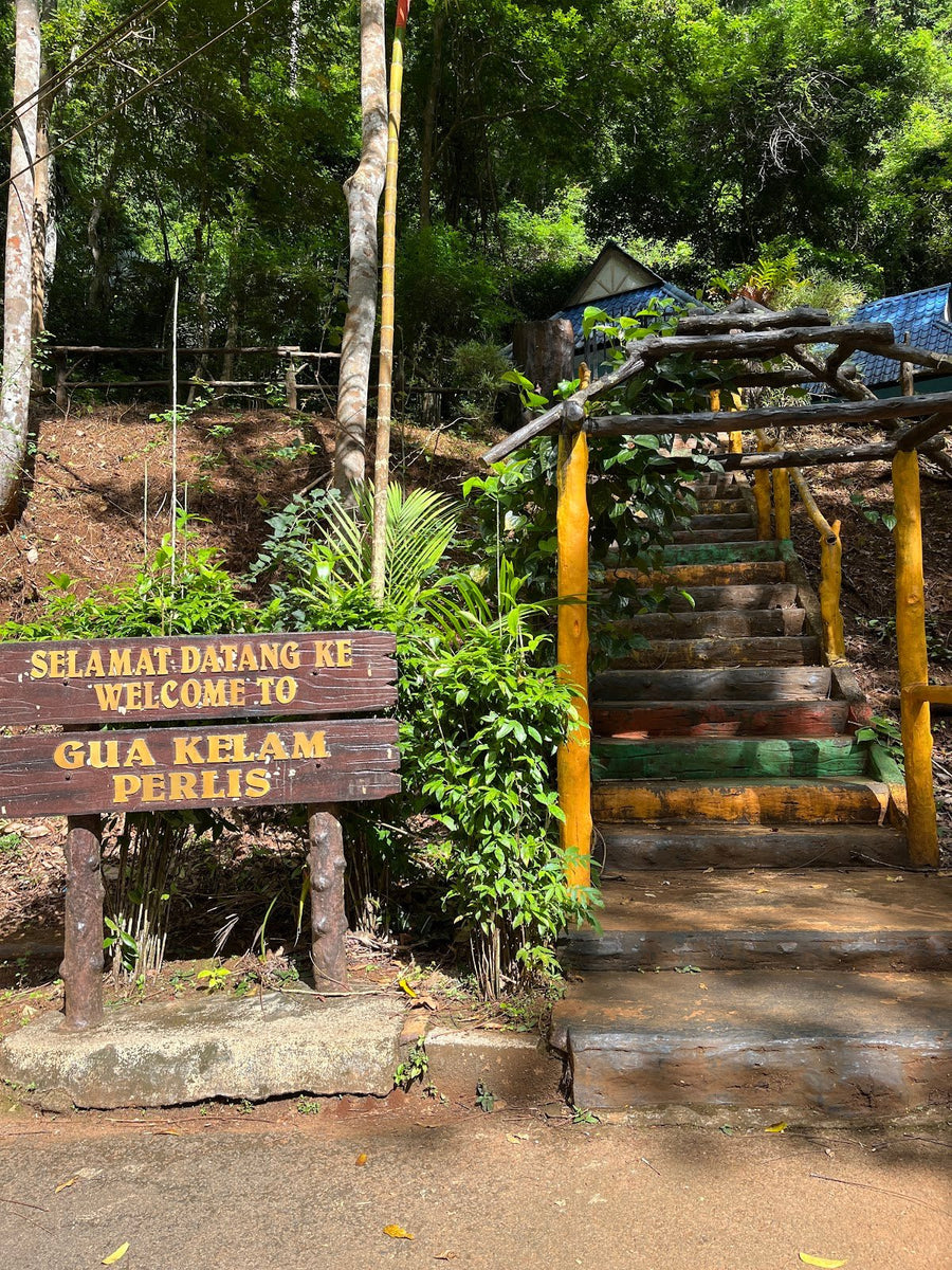 Gunung Perlis: A Hiker's Guide (2026) - TAHAN Outdoor