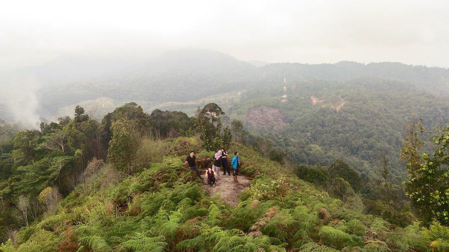 Gunung Senaling: A Hiker's Guide (2026) - TAHAN Outdoor