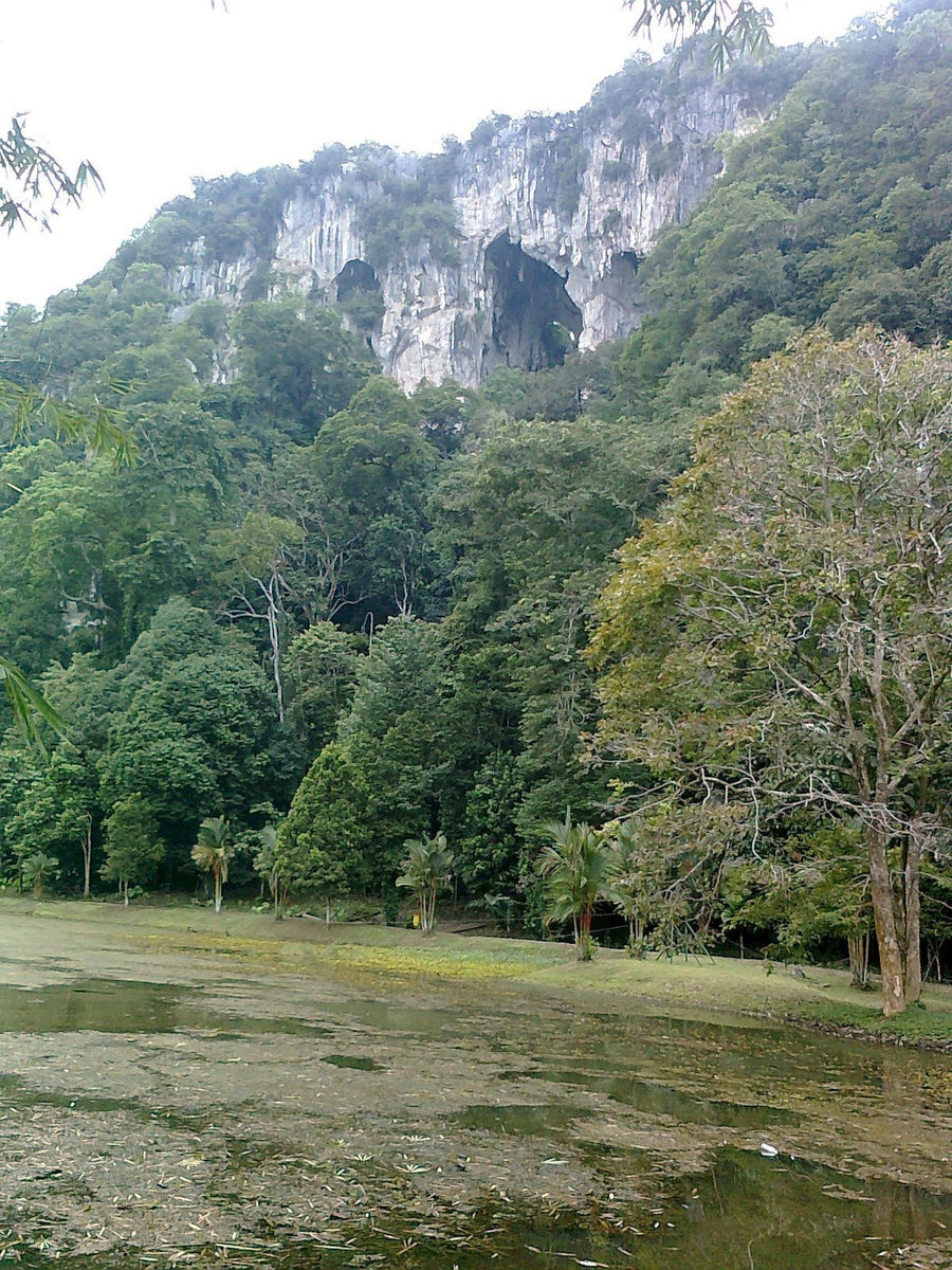 Gunung Senyum: A Hiker's Guide (2026) - TAHAN Outdoor