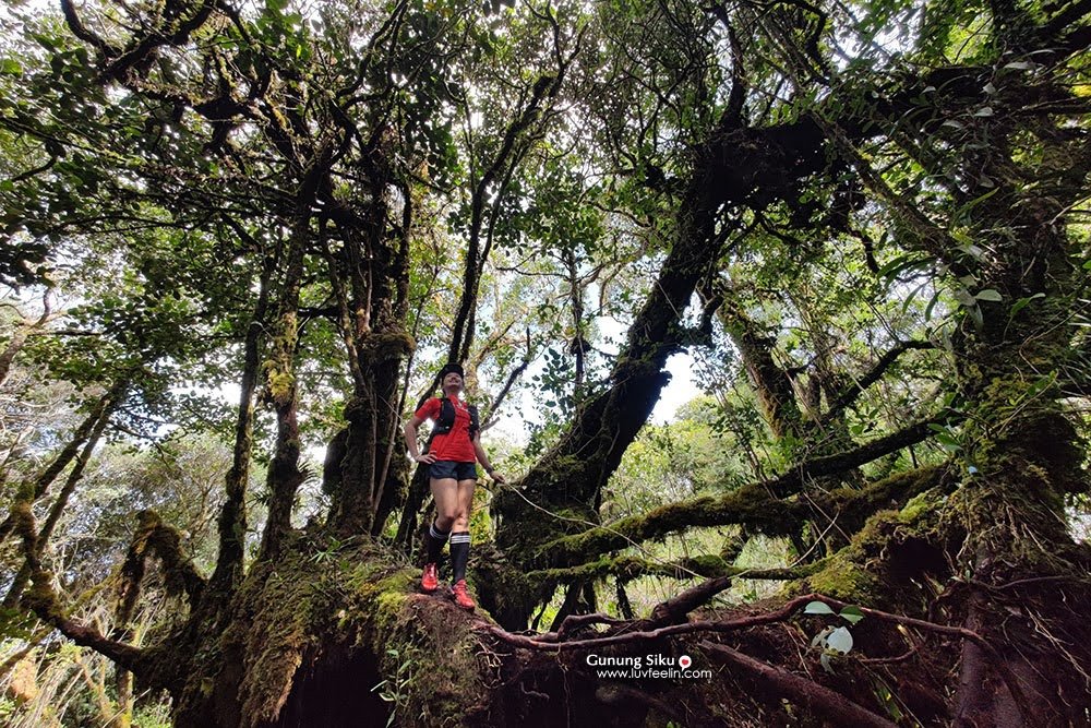 Gunung Siku: A Hiker's Guide (2026) - TAHAN Outdoor