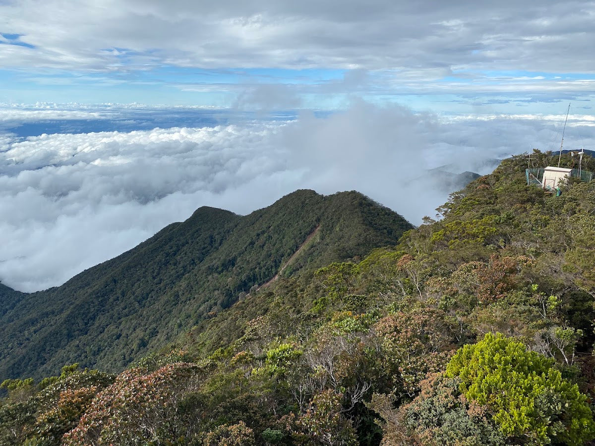 Mount Trusmadi hiking trail