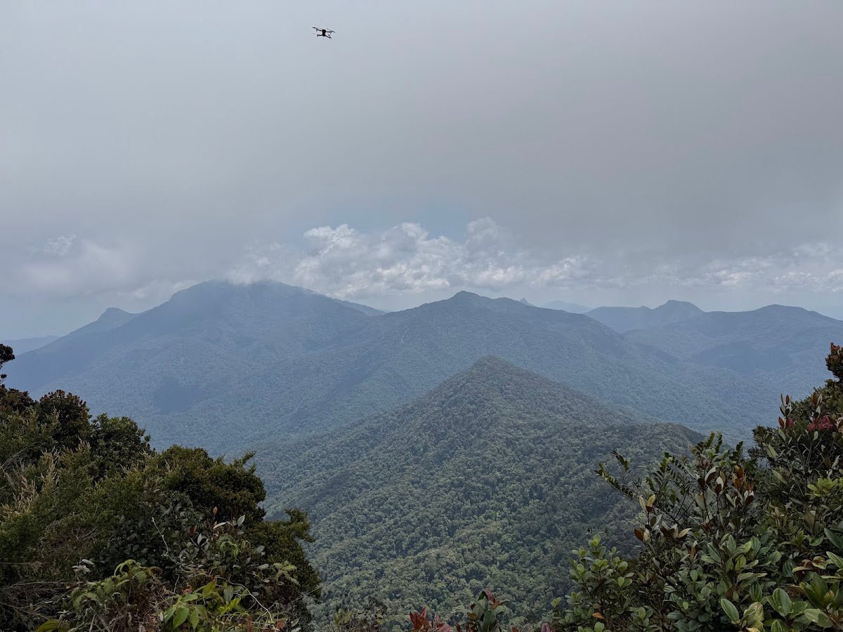 Gunung Yong Belar: A Hiker's Guide (2026) - TAHAN Outdoor