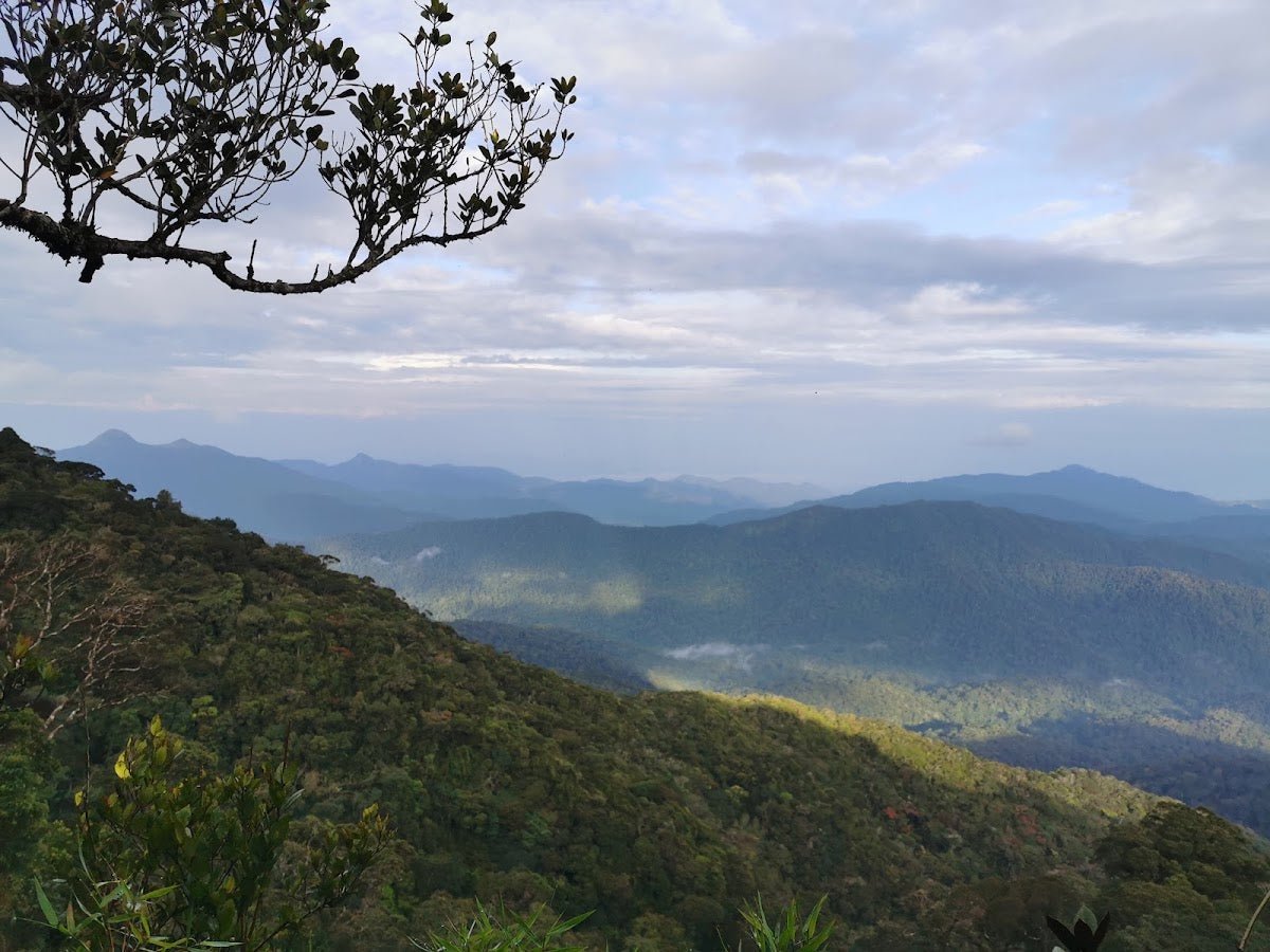 Gunung Yong Yap: A Hiker's Guide (2026) - TAHAN Outdoor