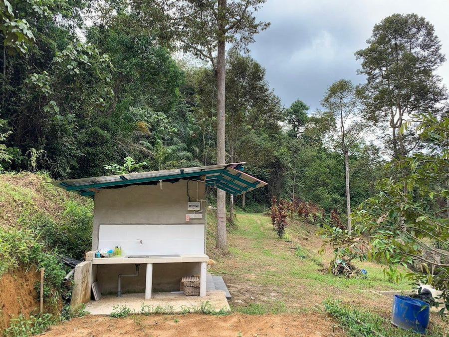 Hijauan Damai Campsite, Kedah — A Private Farm Camp That Actually Delivers - TAHAN Outdoor