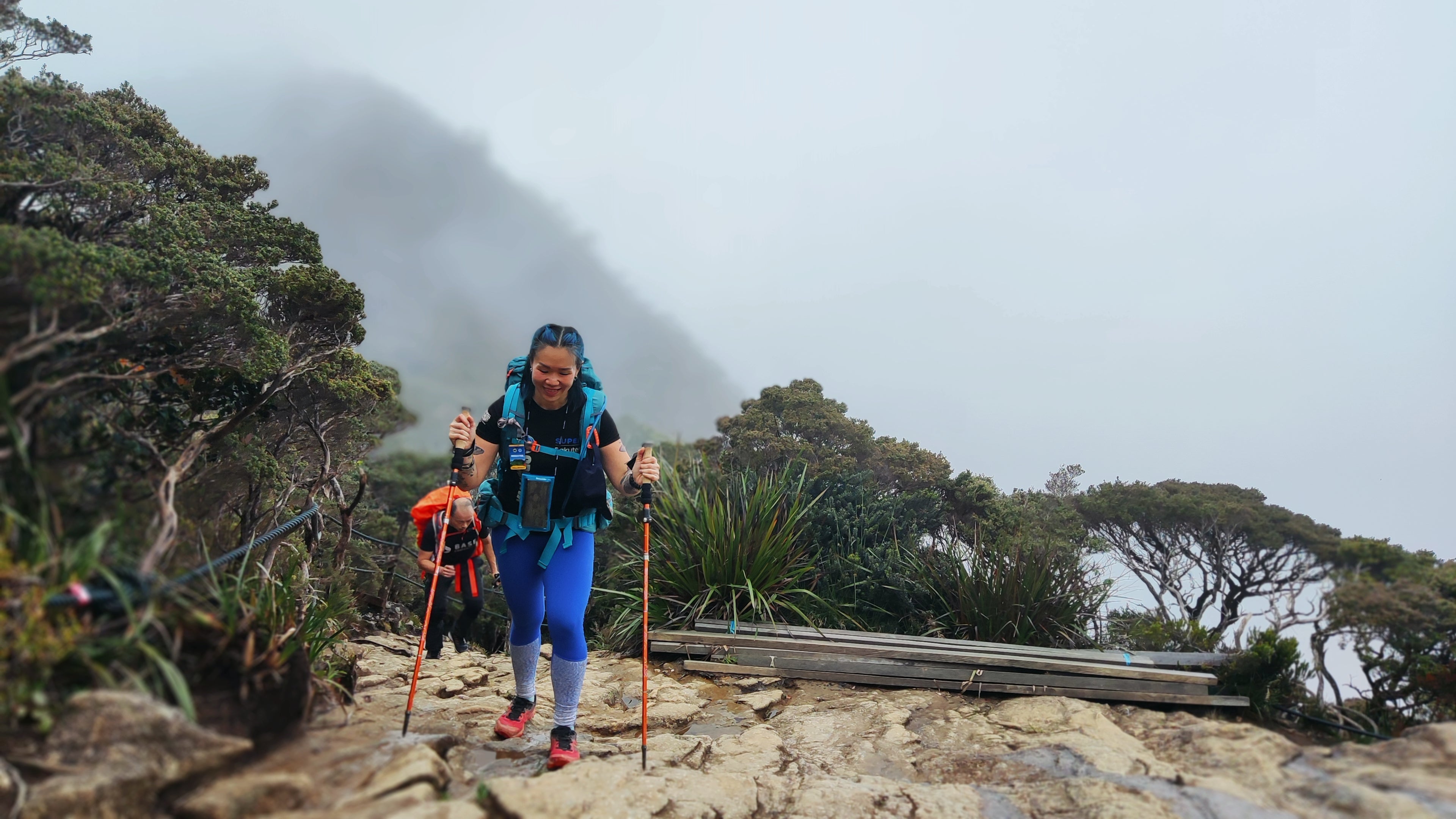 Hiking Stick : A Complete Guide To Choosing A Proper Hiking Stick - TAHAN Outdoor