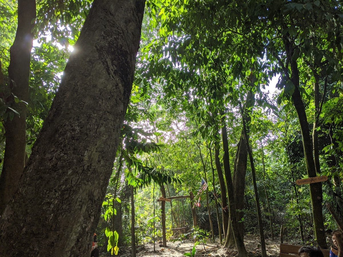 Hiking Trail Etiquette: Dos and Don’ts - TAHAN Outdoor
