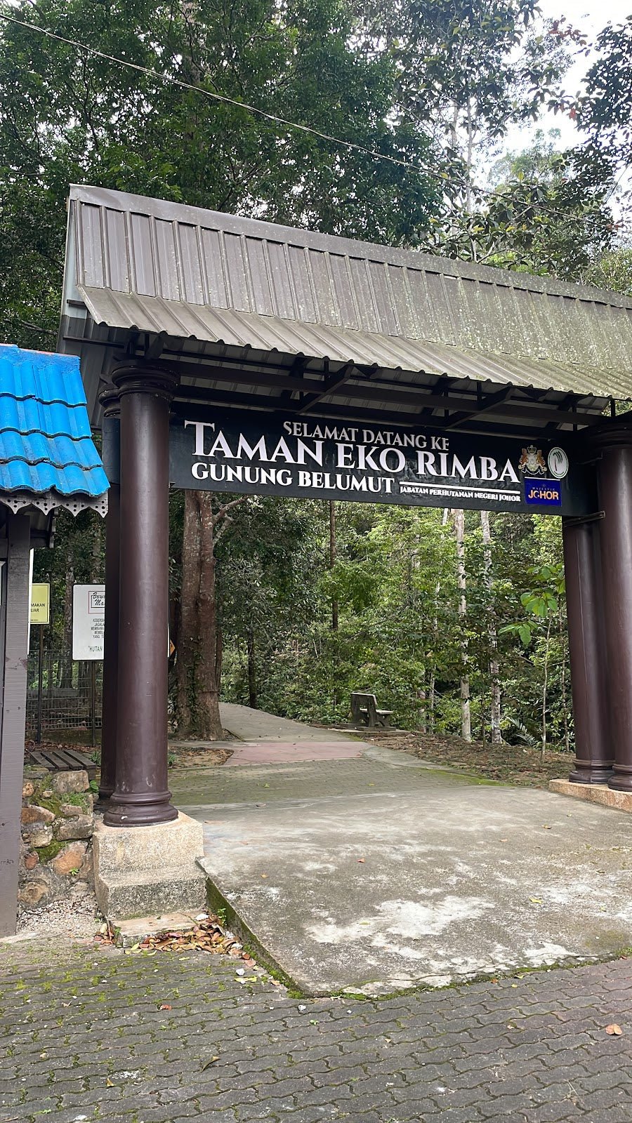 Hutan Lipur Gunung Belumut — Family Picnic Spot by Day, Serious Hiker's Challenge by Night - TAHAN Outdoor