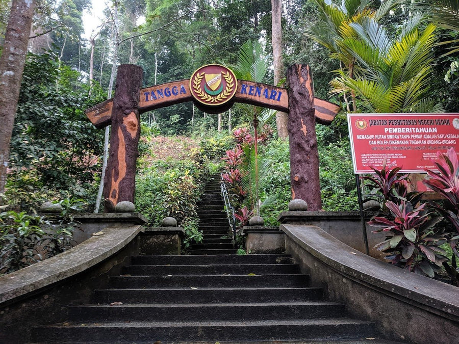 Hutan Lipur Titi Hayun — A Hidden Gem at the Foot of Gunung Jerai - TAHAN Outdoor