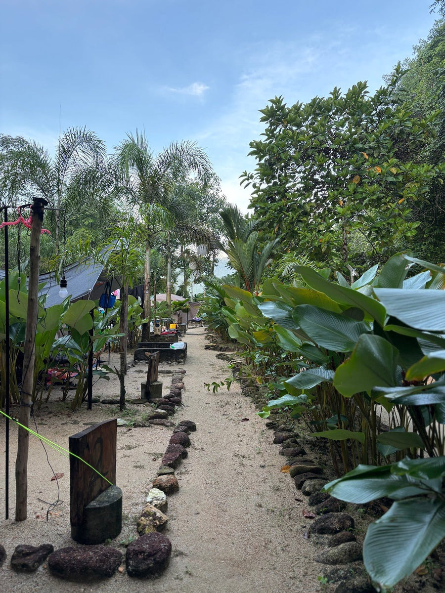 Kampungku Retreat, Serendah — Clean, Friendly, and Properly Hidden from the City - TAHAN Outdoor