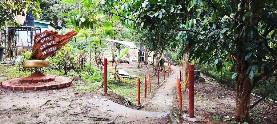 Kem Santai Sungai Gabai — Chill Camp Near KL That Actually Delivers - TAHAN Outdoor