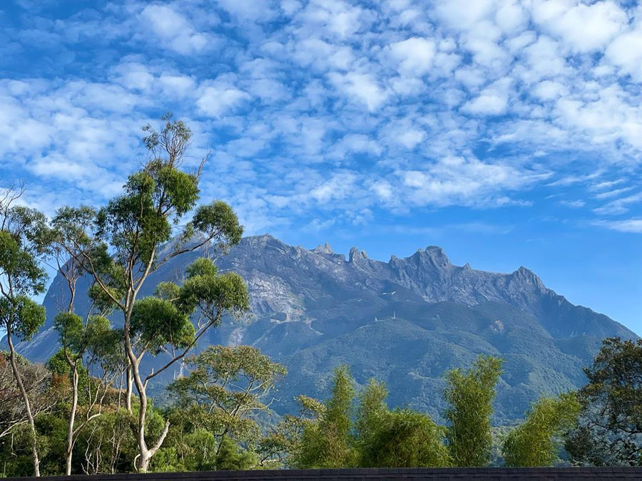 Kinabalu Park Headquarters — What You Need to Know Before You Go - TAHAN Outdoor