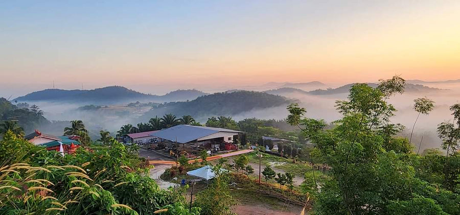 Kluang Hill Campsite — Stunning Views, Rough Edges - TAHAN Outdoor