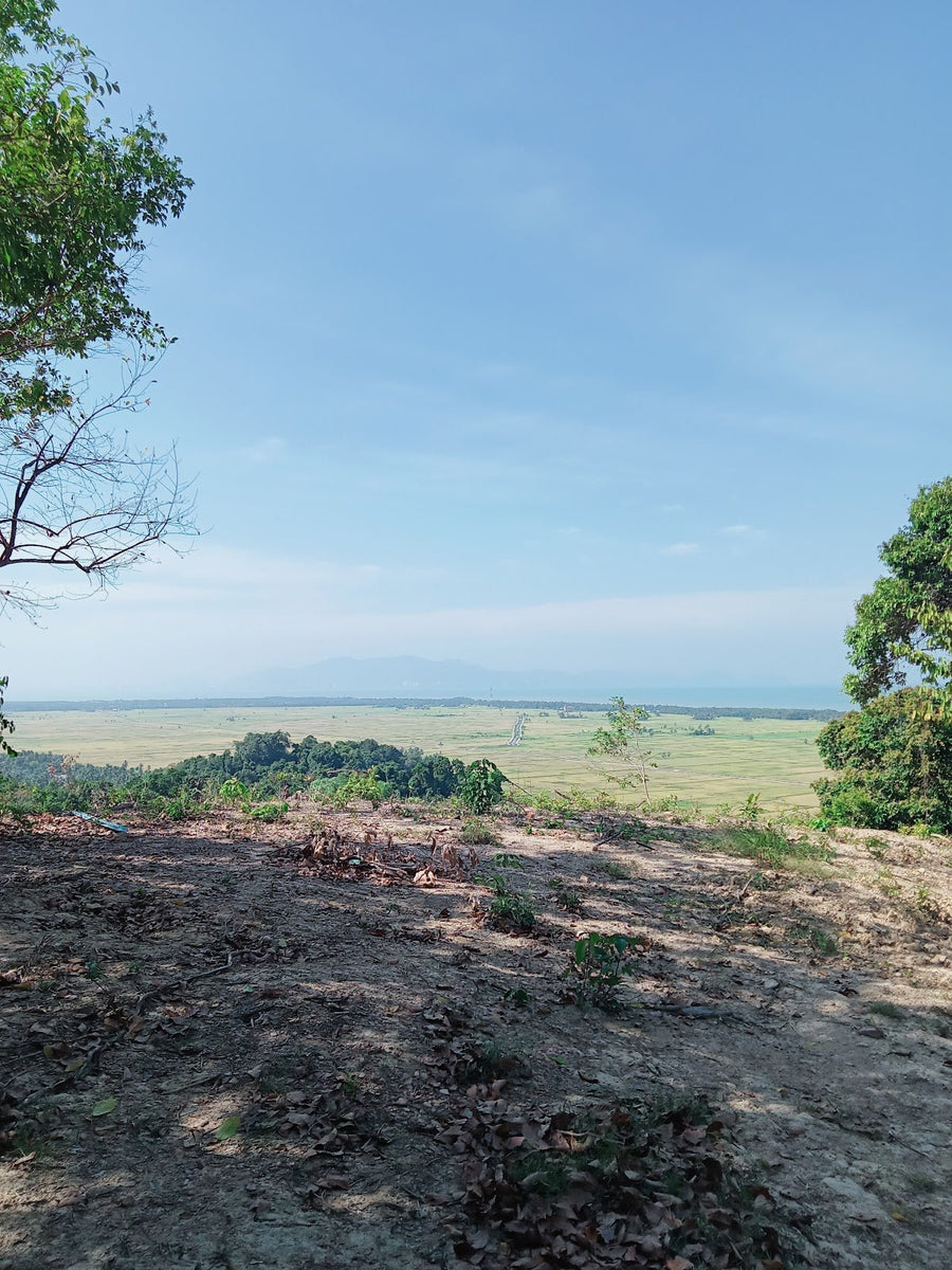 Kota Bukit Meriam Campsite, Kedah — Camping by the Merbok Estuary - TAHAN Outdoor