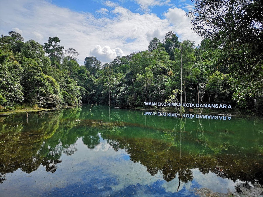 Kota Damansara Community Forest: A Hiker's Guide (2026) - TAHAN Outdoor