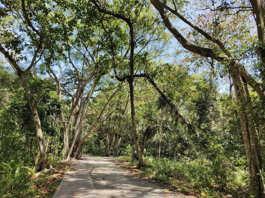 Kuala Selangor Nature Park — A Day Out Worth the Mozzie Battle - TAHAN Outdoor