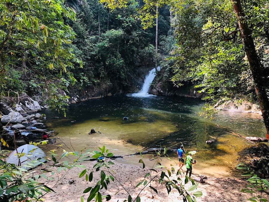 Lata Hammer Waterfall — Hidden Gem in Bentong Worth the Jungle Trek - TAHAN Outdoor