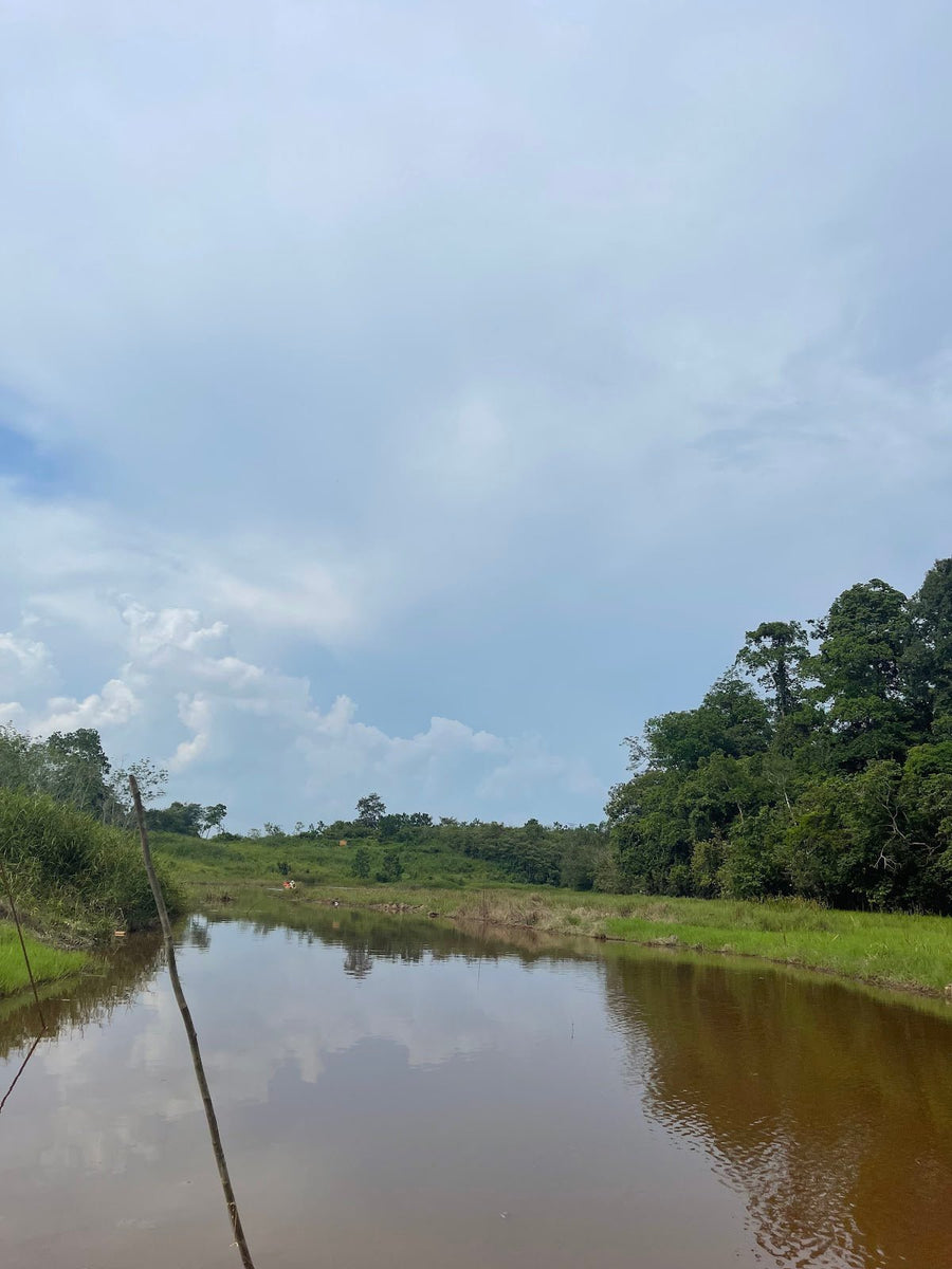 Lengkong Naga Campsite, Bera — Durian, River Boats and Kampung Vibes All in One - TAHAN Outdoor