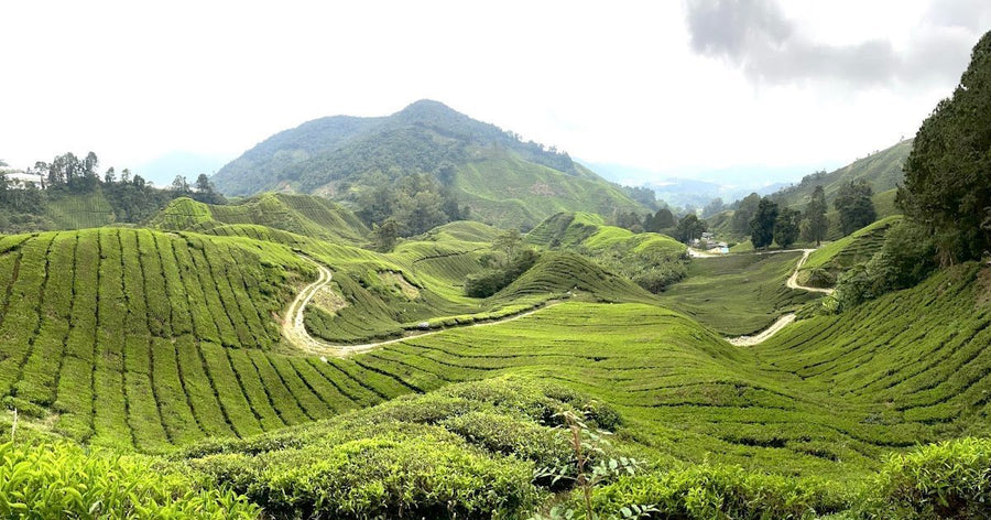 Lists of Hike-able Places in Malaysia - TAHAN Outdoor