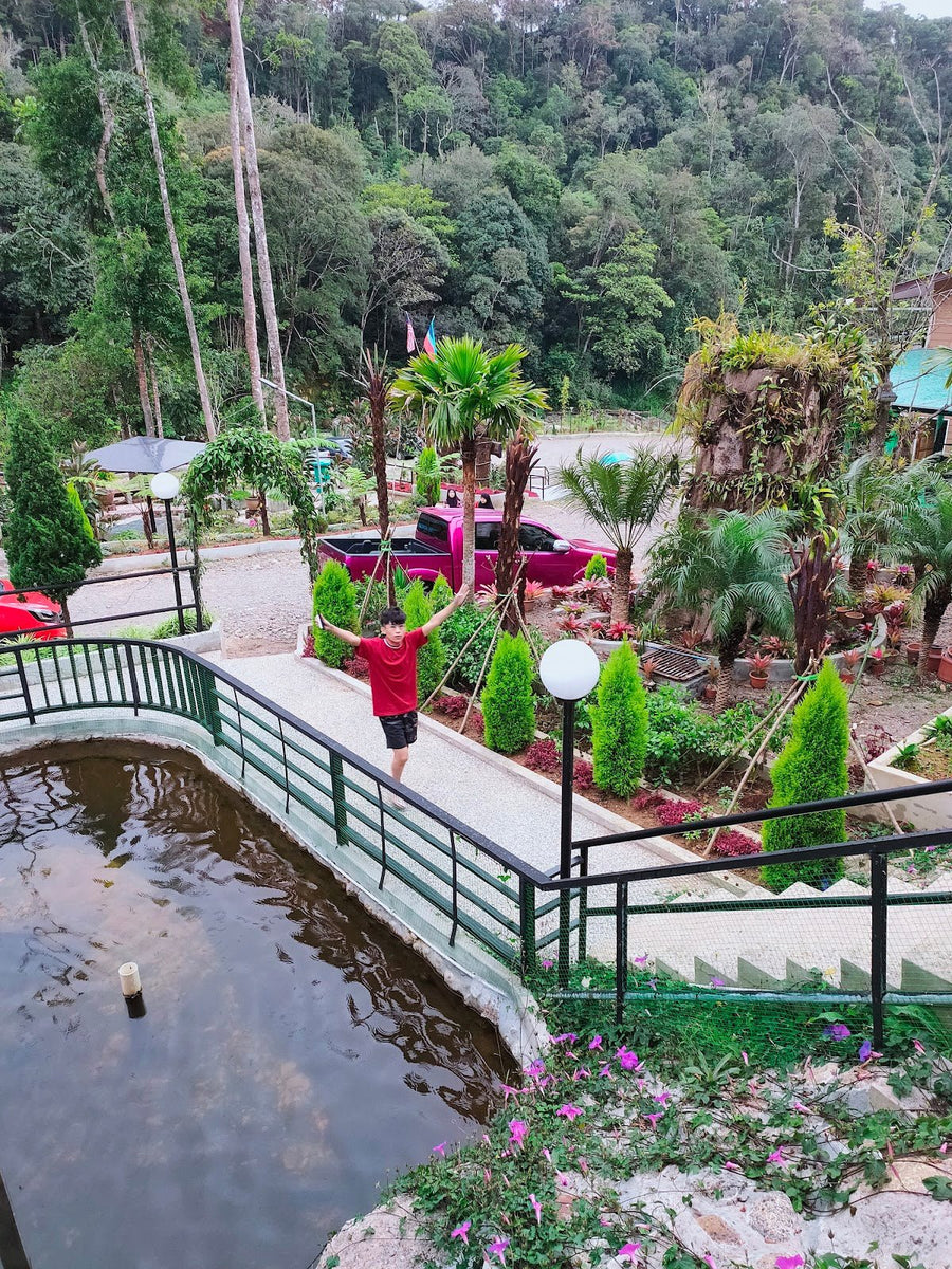 Mesilau Nature Resort — What You Need to Know Before You Go - TAHAN Outdoor