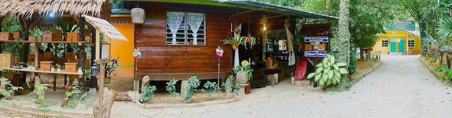Min House Camp, Kelantan — The Eco Kampung Stay That's More Than Just Camping - TAHAN Outdoor
