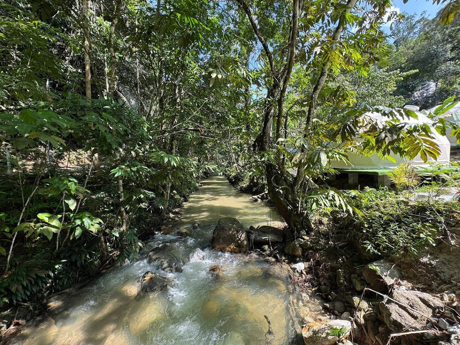 Moonkissed By The River, Hulu Langat — A Riverside Escape That's More Than Just Camping - TAHAN Outdoor