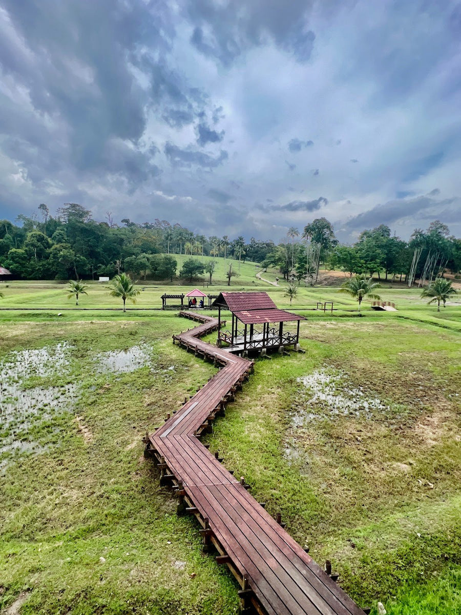 National Botanic Gardens Shah Alam — A Day Out in Nature Without Leaving the City - TAHAN Outdoor