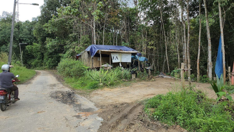 Ngoi Ngoi Campsite, Negeri Sembilan — Quiet Off-Grid Camping with a Kampung Feel - TAHAN Outdoor
