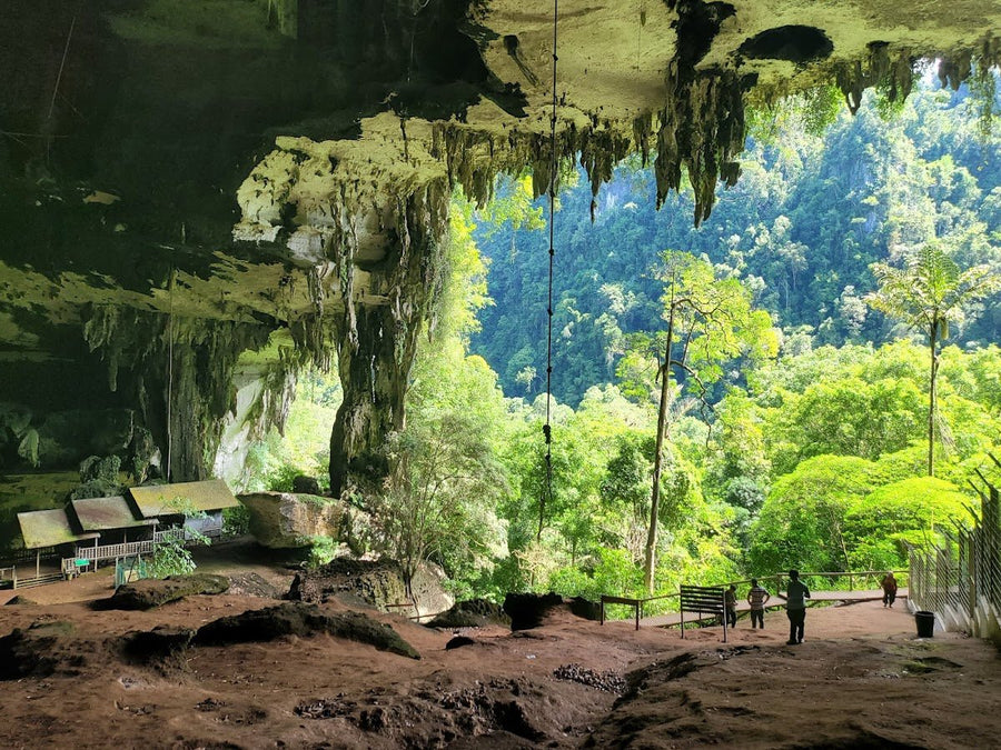Niah National Park — Ancient Caves, Jungle Walks, and One Cheeky Boatman - TAHAN Outdoor