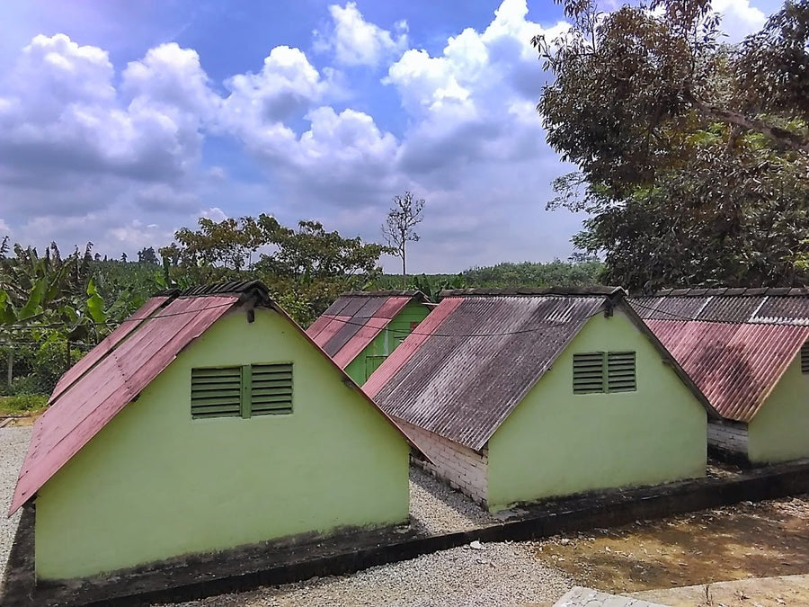 NK Adventure Camp, Melaka — School Group Favourite or Worth It for Everyone? - TAHAN Outdoor