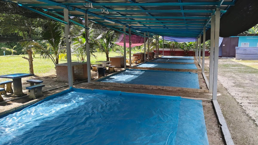 Paksu Wan Empire Campsite, Sedim — A Hidden Gem in Kedah Worth Knowing About - TAHAN Outdoor