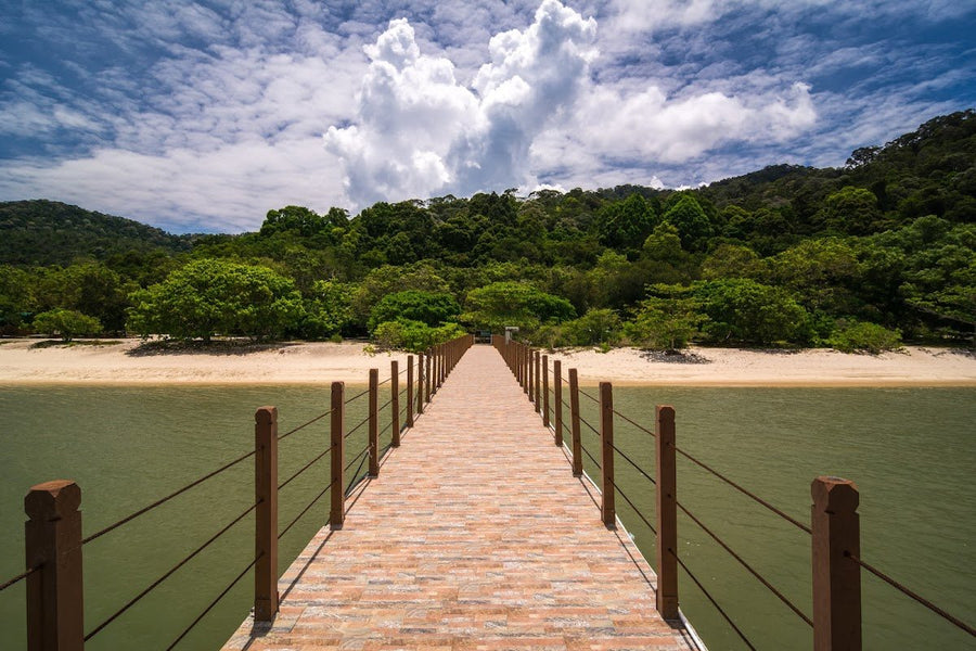Pantai Keracut — Penang's Hidden Turtle Beach That You Have to Earn - TAHAN Outdoor